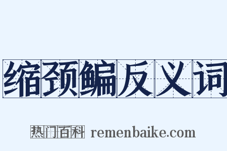 缩颈鳊反义词是什么意思的图片